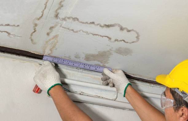 Reliable Flood Cleanup contractor in Waterloo, NE by Water Damage Irwin